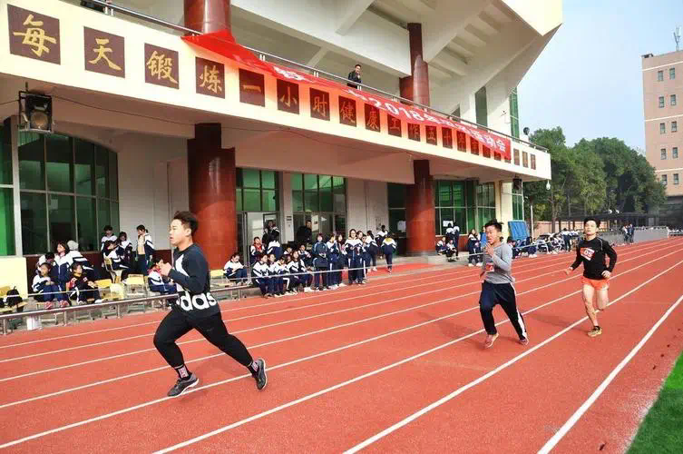 斯瓦泰克泰尼飞网球拍